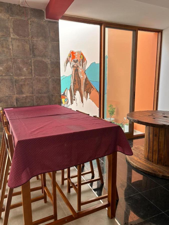 Villa Palmarina Praia Dış mekan fotoğraf